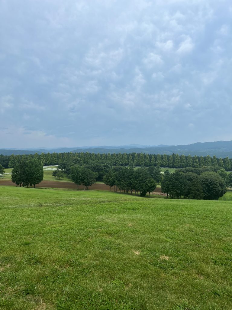 頭皮に必要な栄養素